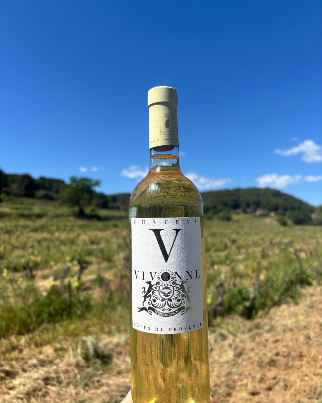 Visite guidée d’un domaine viticole en Provence avec dégustation commentée et découverte des cépages typiques vers Toulon 83000, Var