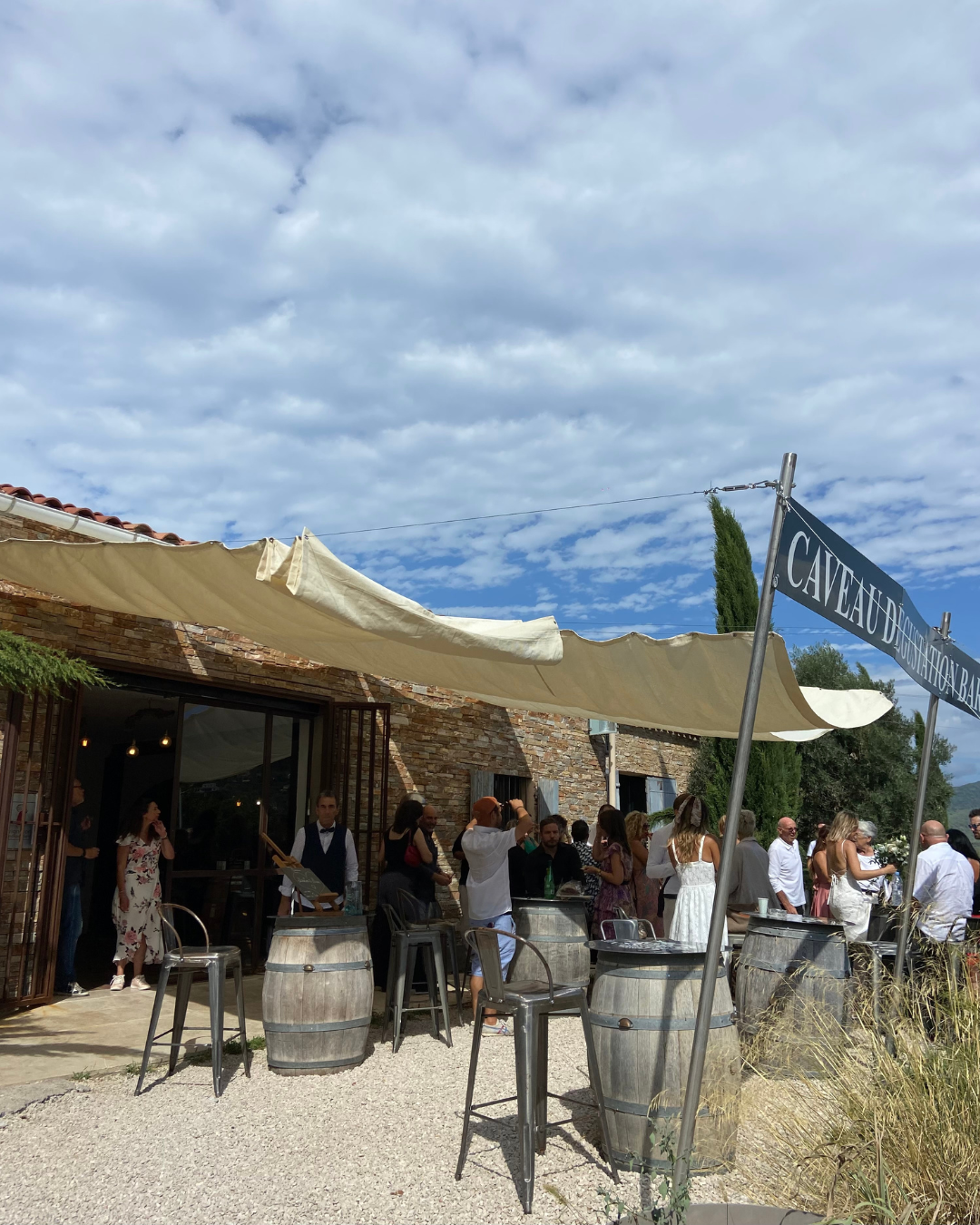Expérience œnologique pour anniversaire avec parcours dans la vigne, dégustation et bouteille souvenir vers Sanary-sur-Mer 83110 près de Bandol