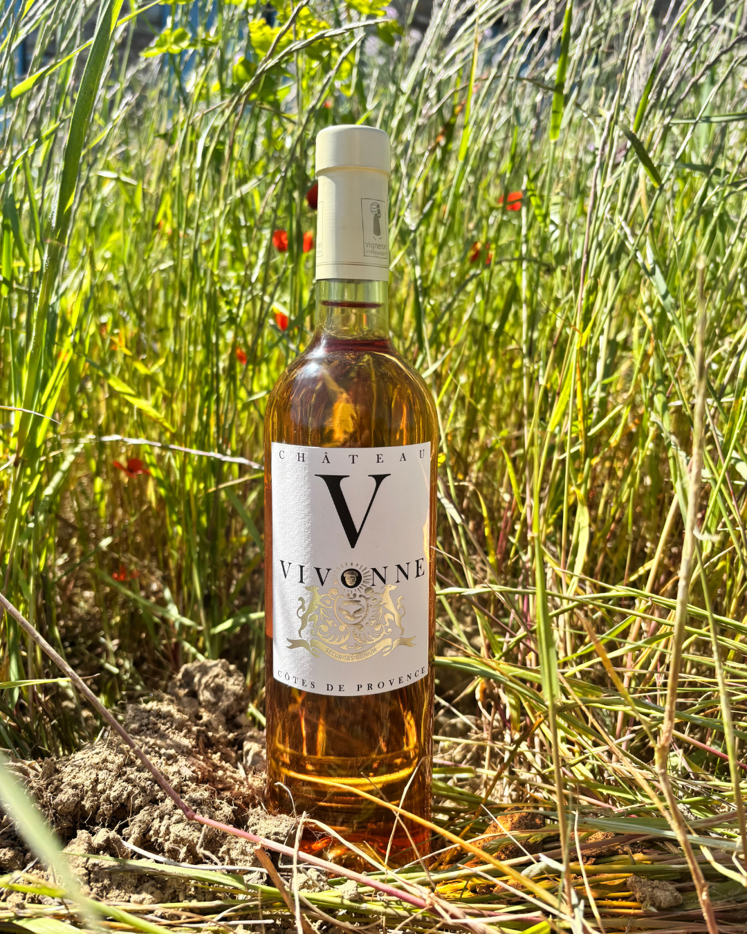 Achat de vins en direct du producteur avec conseil personnalisé pour sélectionner les cuvées dans un domaine d'exception à proximité d'Aix-en-Provence 13100, Bouches-du-Rhône