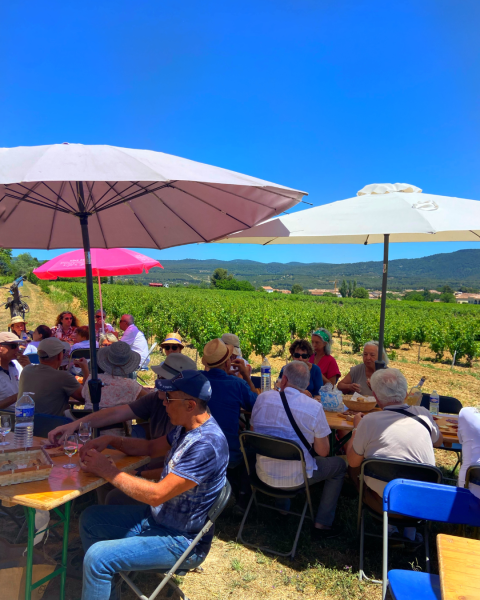 Trouver une salle en pleine nature pour une fête familiale conviviale au cœur des vignes à Bandol avec vue panoramique
