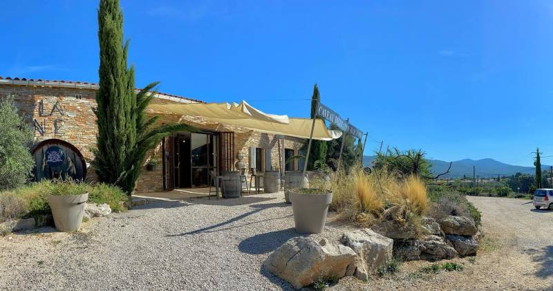 Visite d'un domaine viticole près de La Ciotat : Château La Vivonne et ateliers œnologiques