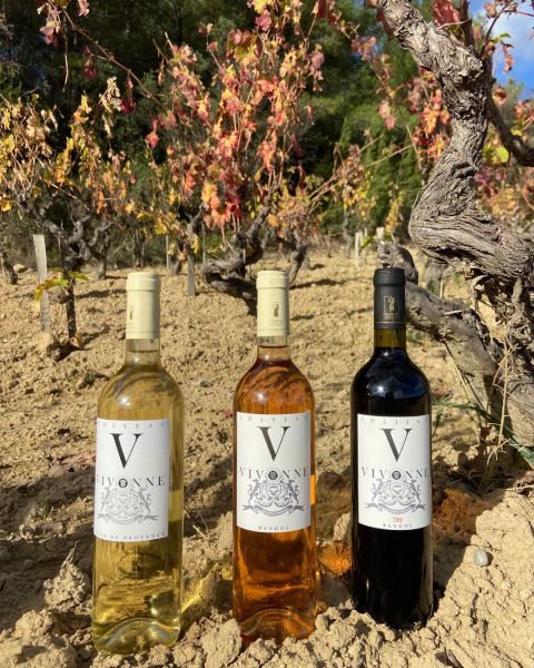 Salle à louer pour anniversaire au cœur d’un vignoble verdoyant à Ollioules à petit prix pour un moment convivial et nature