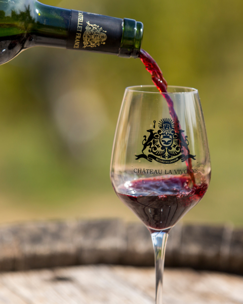Salle d’anniversaire nature à petit prix à Hyères dans un vignoble pour petit groupe et ambiance provençale
