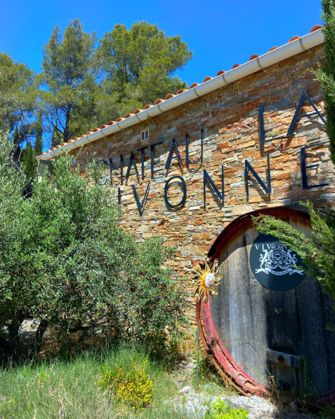 Salle en location pour anniversaire avec vue sur les vignes à La Seyne-sur-Mer, ambiance champêtre et tranquille