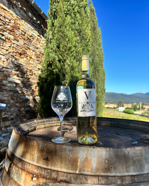 Organisez un événement privé ou professionnel avec dégustation de vin au Beausset