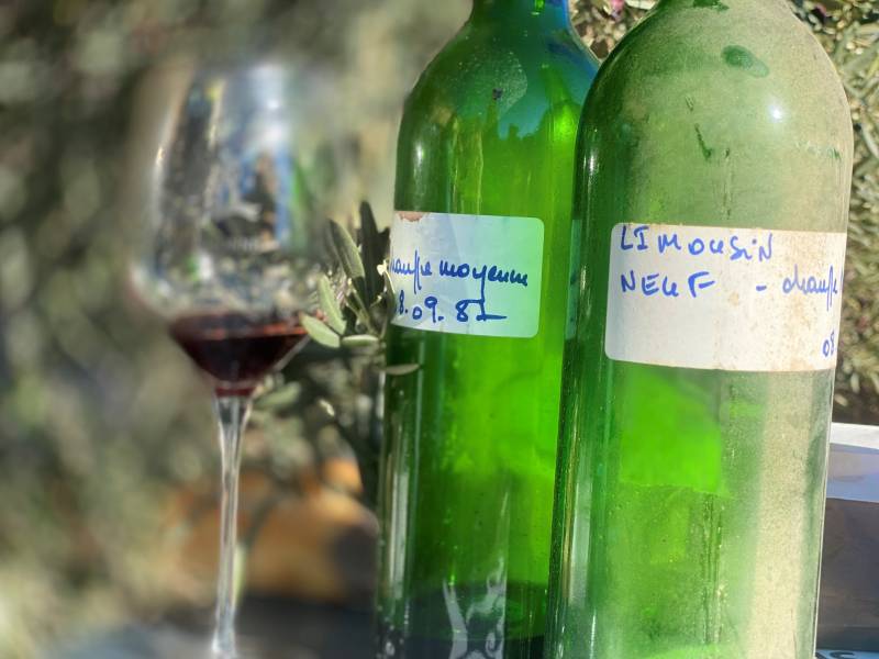 Visite d’un domaine viticole près de Toulon : Découvrez les secrets des vins de Bandol
