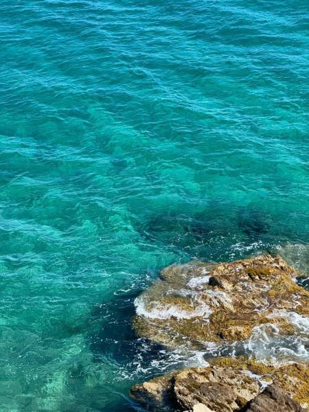 À la Découverte des Fonds Marins Saint-cyr-sur-mer Initiation à la Plongée Sous-Marine ou au Snorkeling