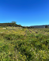 Nos prestations sur le secteur de vers Sanary-sur-Mer 83110 près de Bandol