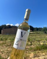 Notre zone d'activité pour ce service Dégustation de planches de charcuterie et fromages affinés au domaine avec accord sur une sélection de vins de Bandol