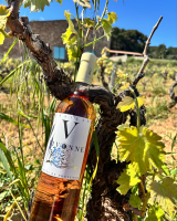 Nos prestations sur le secteur de à proximité d'Aix-en-Provence 13100, Bouches-du-Rhône