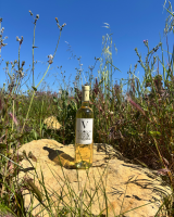 Notre zone d'activité pour ce service Réservation d’un lieu atypique pour réunions de travail avec espace privatisé et prestations personnalisées