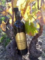 Notre zone d'activité pour ce service Bar à vin pour afterwork convivial avec choix de vins rosés gastronomiques et ambiance chaleureuse en terrasse