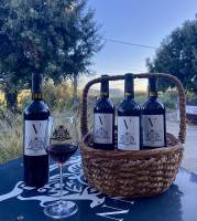 Notre zone d'activité pour ce service Organisation de séminaires d’entreprise 2026 au cœur des vignes avec salle équipée, pause gourmande et dégustation de vins