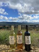 Notre zone d'activité pour ce service Commande de vins pour découvrir des bouteilles d’exception : millésimes rares conservés dans les caves du château