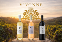 Notre zone d'activité pour ce service Séminaire 2026 avec petit-déjeuner, collation et visite guidée du domaine pour découvrir les vins de Bandol